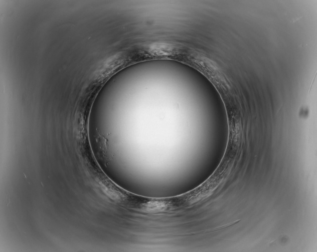 X0000098230418200804241345