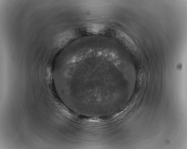 X0000098230420200804241345