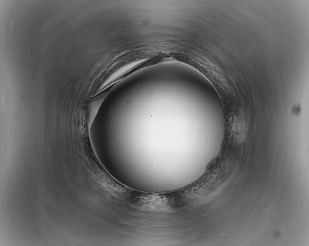 X0000098230421200804241345