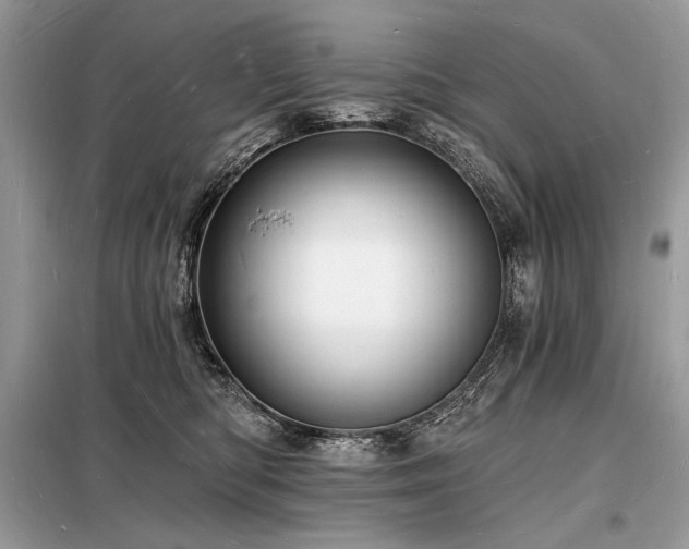 X0000098230422200804241345
