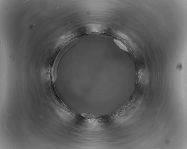X0000098230423200804241345