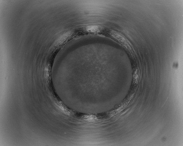 X0000098230424200804241345