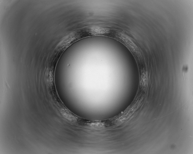 X0000098230426200804241345