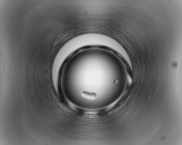 X0000098230427200804241345