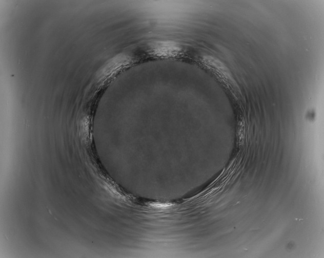 X0000098230428200804241345