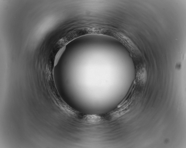 X0000098230429200804241345
