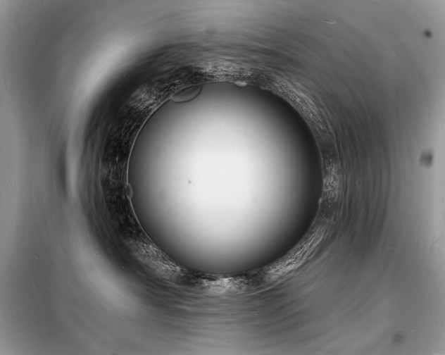X0000098230430200804241345