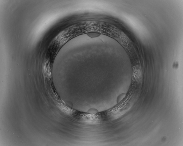 X0000098230431200804241345