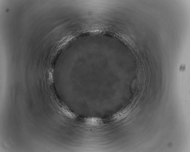 X0000098230432200804241345