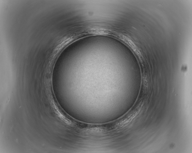 X0000098230433200804241344
