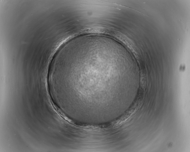 X0000098230434200804241344