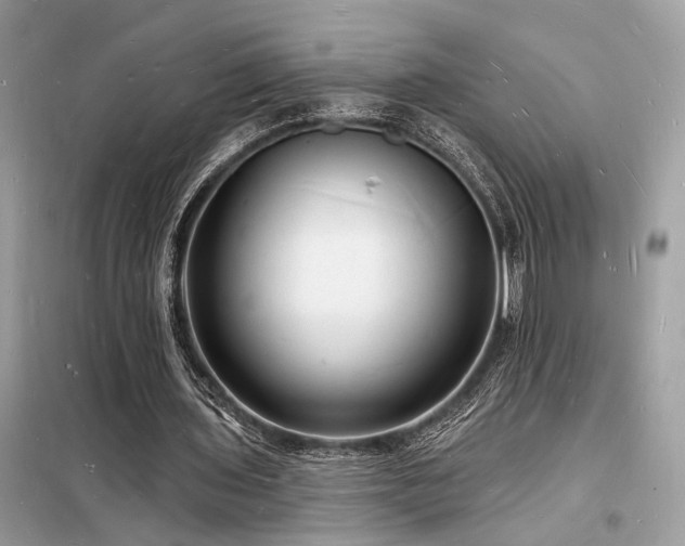 X0000098230435200804241344