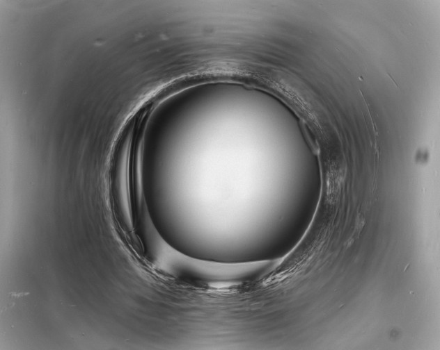 X0000098230436200804241344