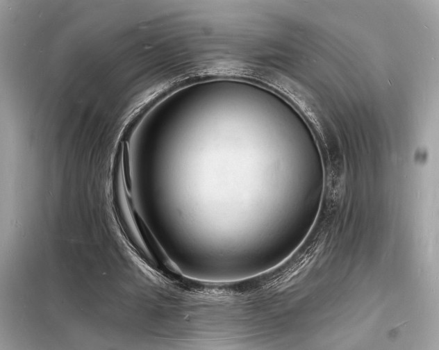 X0000098230437200804241344