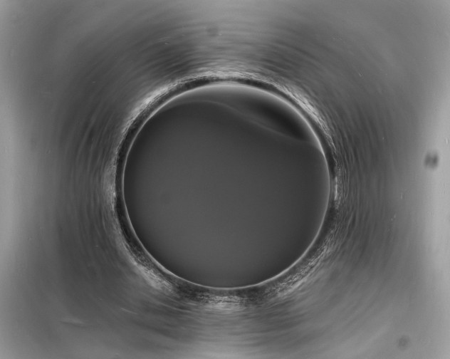 X0000098230438200804241344