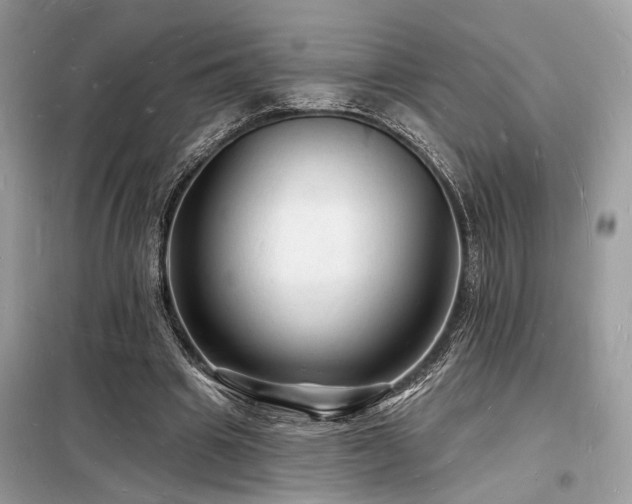 X0000098230441200804241344