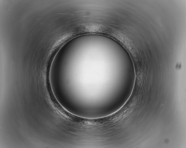 X0000098230442200804241344