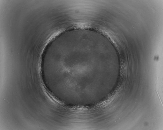 X0000098230443200804241344