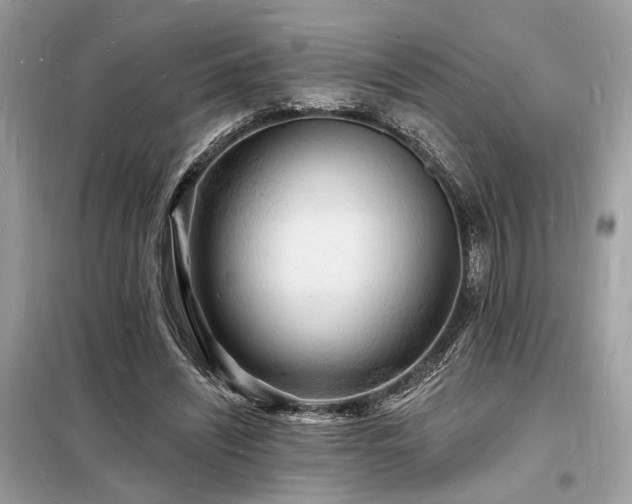 X0000098230444200804241344