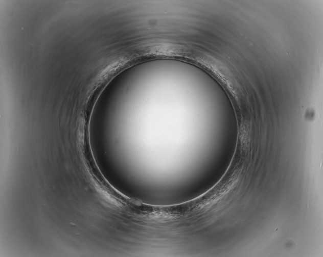 X0000098230445200804241344