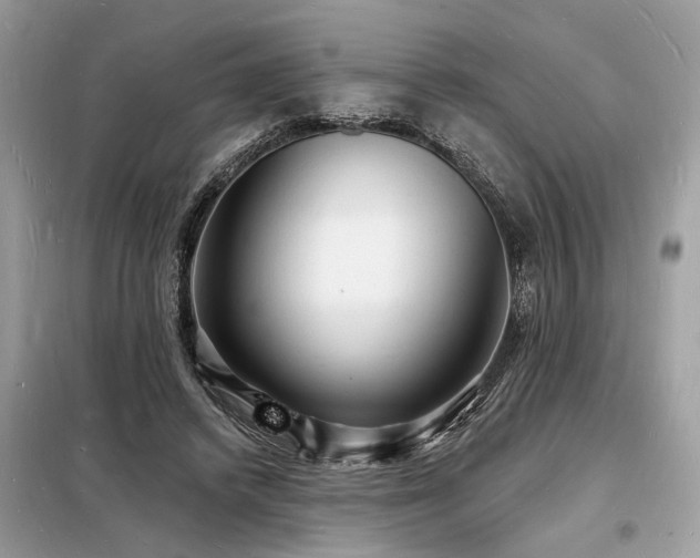 X0000098230448200804241344
