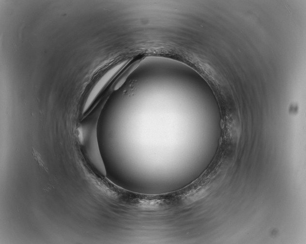 X0000098230450200804241344