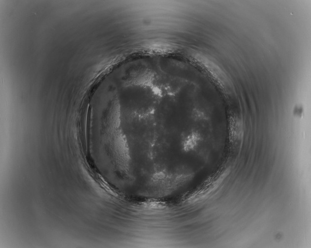 X0000098230451200804241344