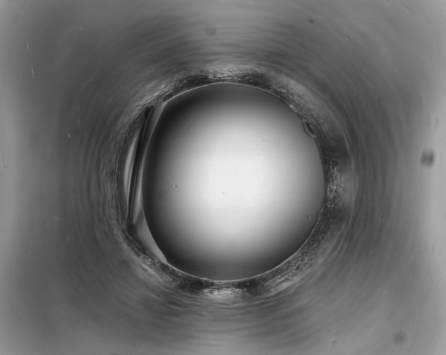 X0000098230452200804241344