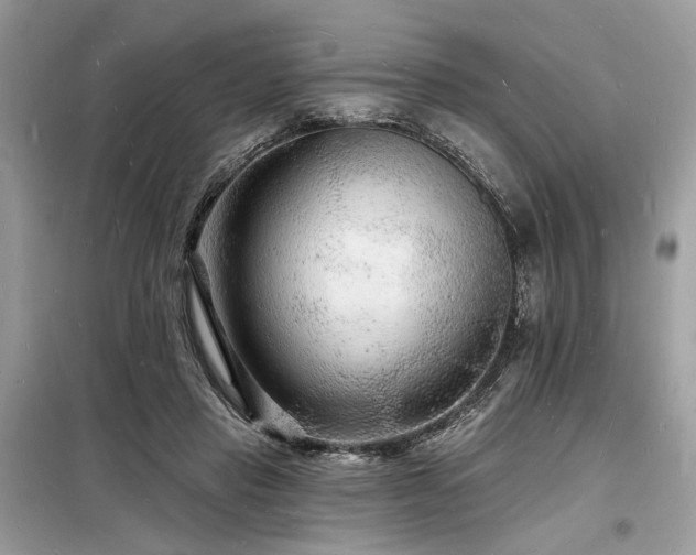 X0000098230453200804241344