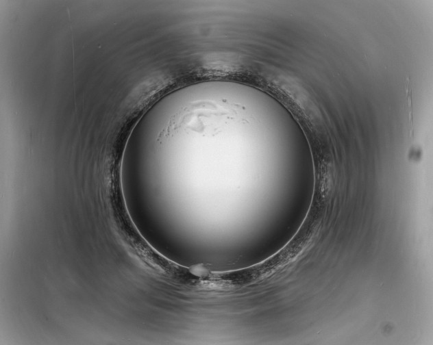 X0000098230455200804241344