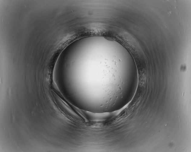 X0000098230456200804241344