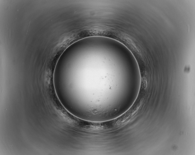 X0000098230458200804241344