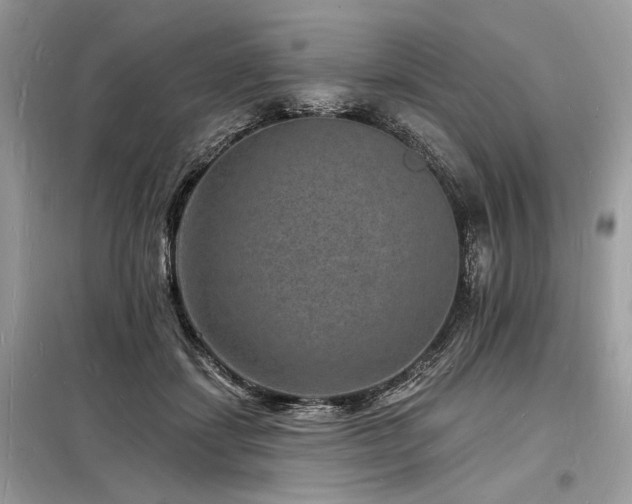 X0000098230459200804241344
