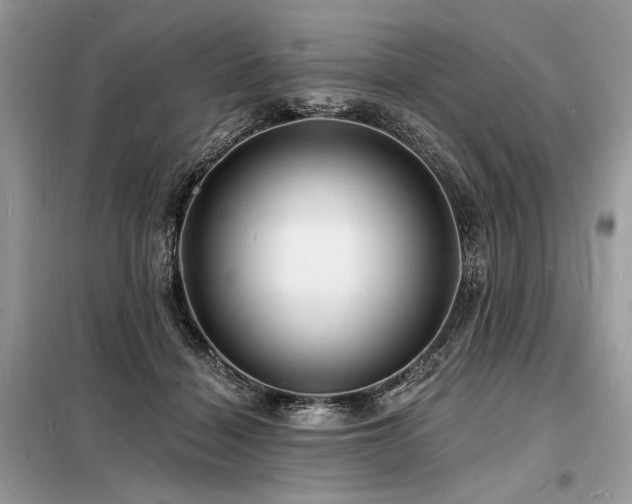X0000098230460200804241344