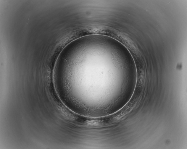 X0000098230461200804241344