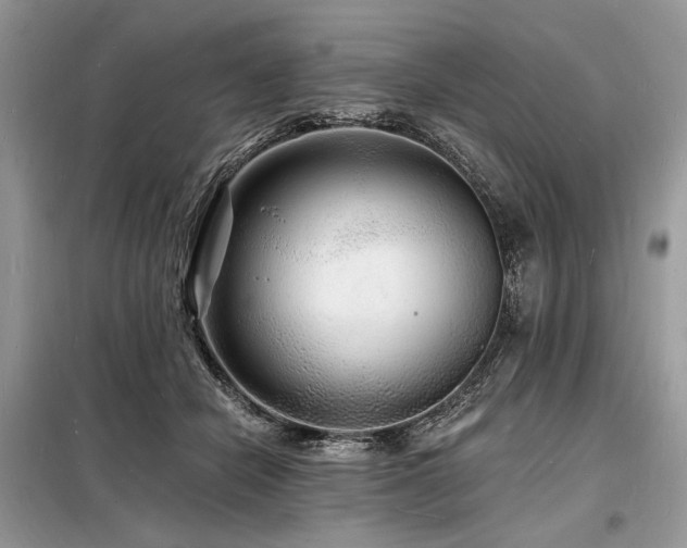 X0000098230462200804241344