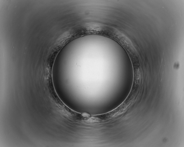 X0000098230463200804241344