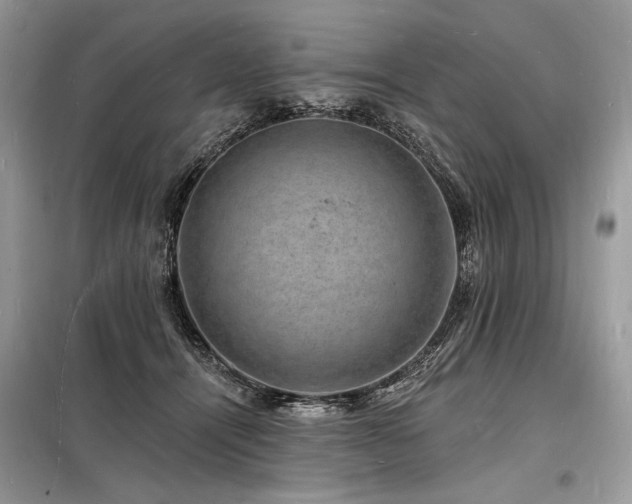 X0000098230464200804241344