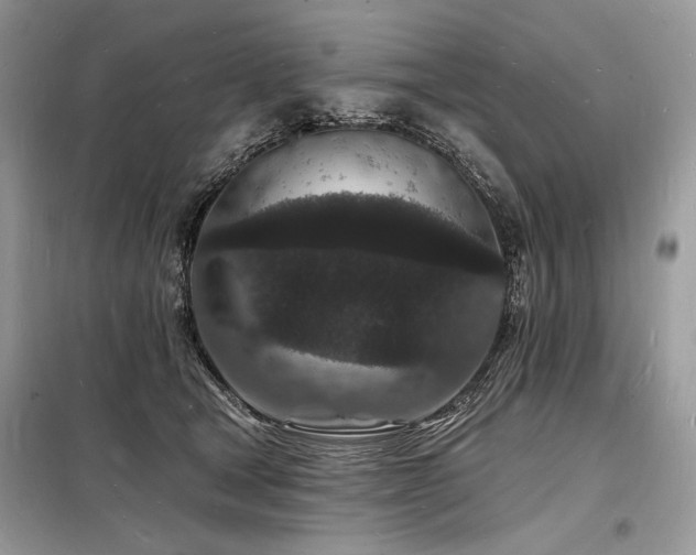 X0000098230465200804241344