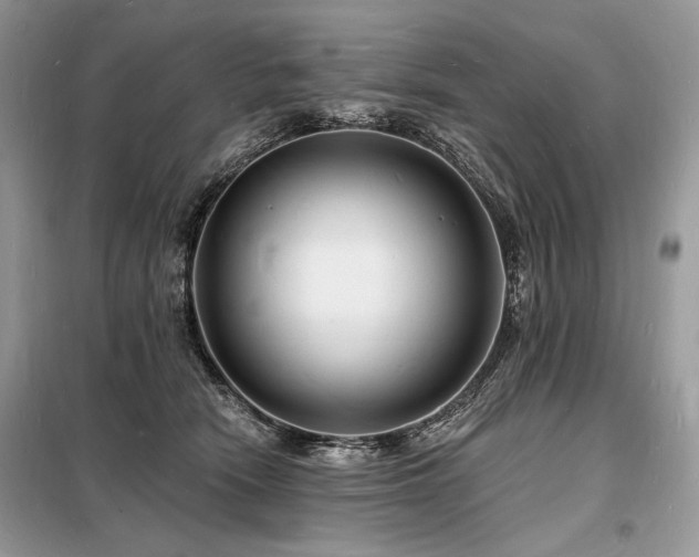 X0000098230466200804241344
