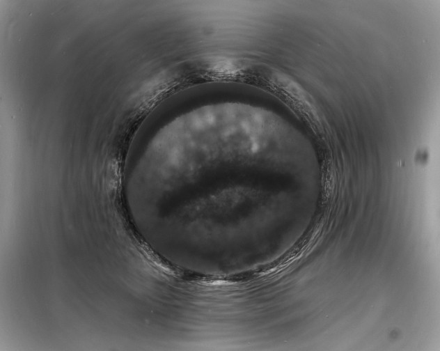 X0000098230467200804241344