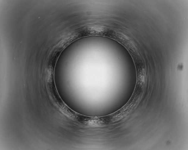 X0000098230468200804241344
