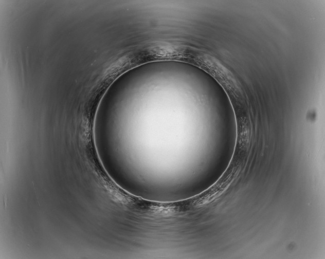 X0000098230469200804241344