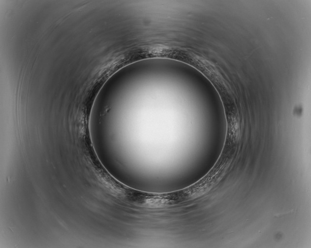 X0000098230470200804241344