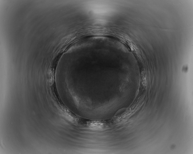 X0000098230471200804241344