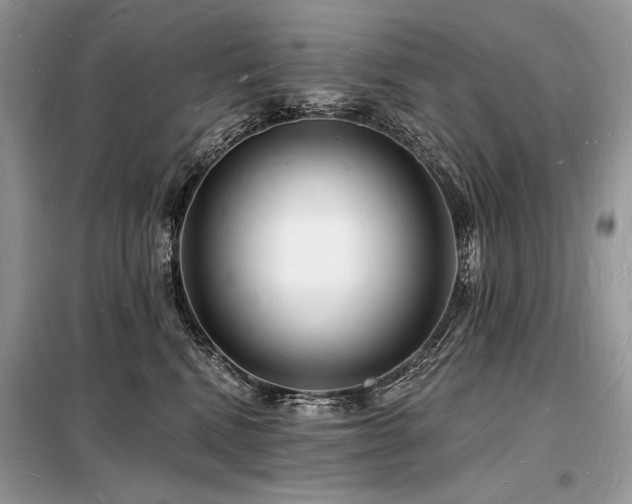 X0000098230472200804241344