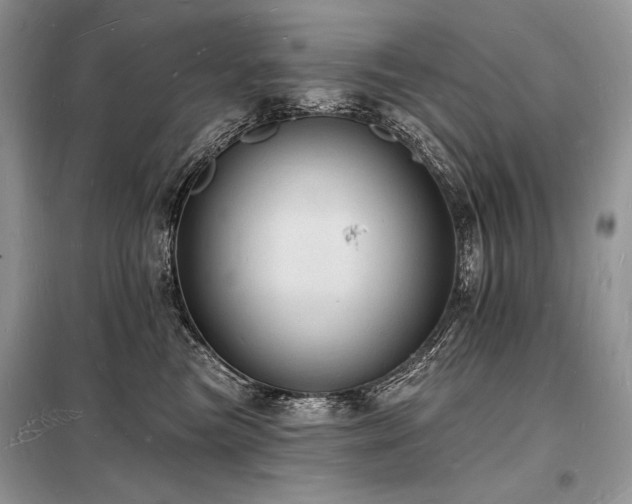 X0000098230473200804241344
