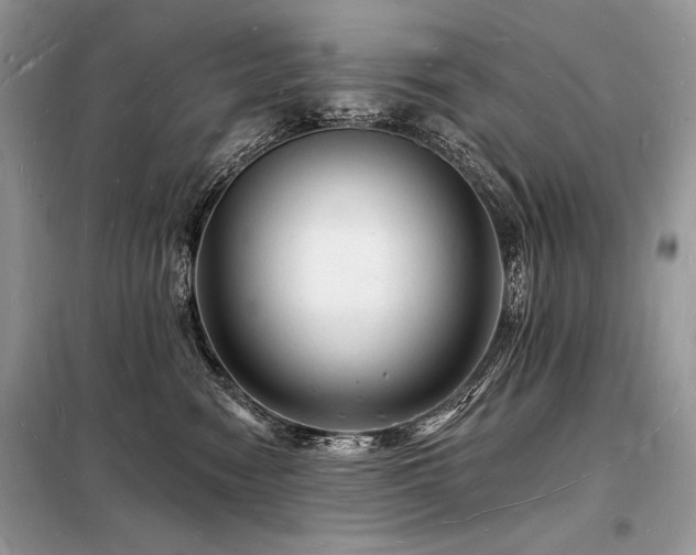 X0000098230474200804241345