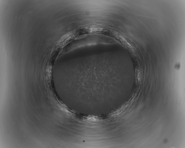 X0000098230475200804241345