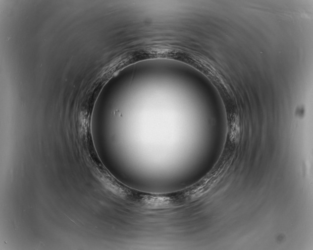 X0000098230476200804241345